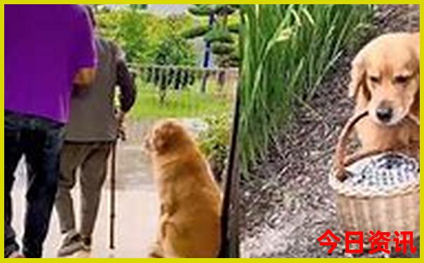 方法澳门全新指南管家婆全新免费100%全新爆料精准-澳门一肖一码一特一中管家